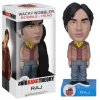 Big Bang Theory Raj Bobble Head Wacky Wobbler by Funko