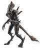 1:18 Scale Aliens CM Xenomorph Raven PX Hiya Toys