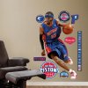 Fathead NBA Rip Hamilton Detroit Pistons