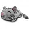 Big Bang Theory Soft Kitty Mini-Plush by Ripple Junction