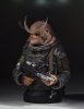 Star Wars Bistan (Rogue One) Mini Bust Gentle Giant