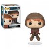 POP! Harry Potter Ron Weasley on Broom #54 Vinyl Figure Funko