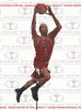 McFarlane NBA Serie 24 Derrick Rose Chicago Bulls Random Chase figure