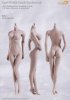 1/6  Female Body w Stainless Steel Skeleton Pale/Middle Breast SO1A