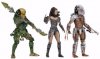 Predators 7-Inch Action Figure Series 18 case of 14 Neca