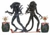 Alien Ultimate Aliens Warrior Set of 2 7 inch Figure Neca