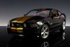 1:18 Scale 2010 Mustang Black with Gold Stripes Hertz Greenlight