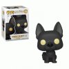 Pop! Harry Potter Series 5 Sirius Black #73 Vinyl Figure Funko