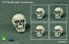 COO Model 1/6 Scale Simulation Skull (Eye Movement) White & Silver