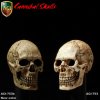 1/6 Scale Cannibal Skull ACI753B Set of 10 for 12 inch Figure ACI Toys