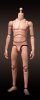 1/6 Scale Truetype Male Body - Slim Body TTM22 by Hot Toys