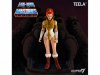 He-Man & The Masters of the Universe Club Grayskull Wave 1 Teela