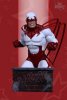  Heroes of The DCU DC UNIVERSE Hawk Bust by DC Direct