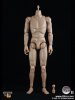 1:6 Scale True Type Body Male TTL-T3 Dark Brown by Toys City