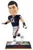 NFL 2017 Legends Series 3 Tedy Bruschi BobbleHead Forever 