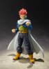 S.H.Figuarts Time Patrol XenoVerse Edition Dragon Ball Bandai BAN14340