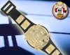 WWE Women's Tag Team Champion Belt for Wrestling Figures