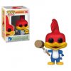 Pop! Animation Woody Woodpecker: Woody Chase #487 Figure Funko