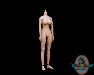 1/6 Scale Caucasian Female Big Breast Body ZY-N003 by ZYToys