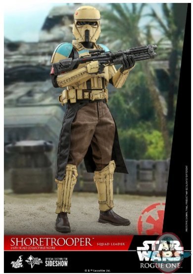 1/6 Scale Star Wars Shoretrooper Squad Leader Figure Hot Toys 907516