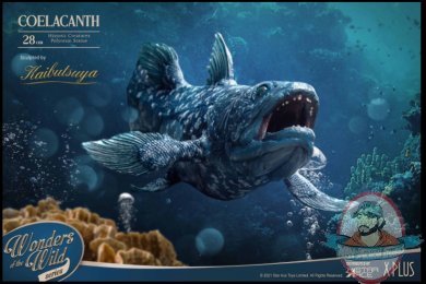 Wonders of the Wild Series Coelacanth Statue Star Ace 909820