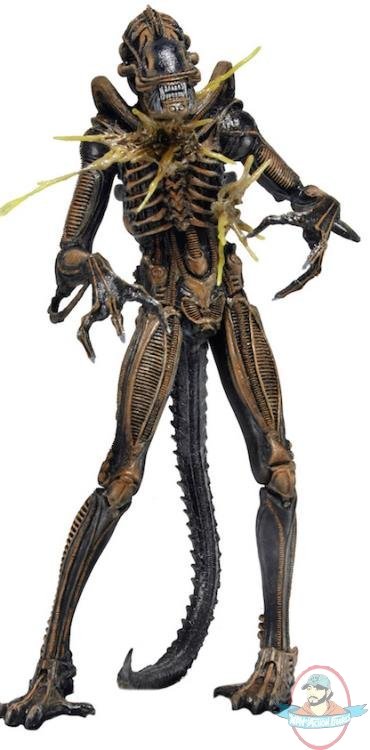 Alien Series 12 Alien Warrior Battle Damaged Brown Figure by Neca