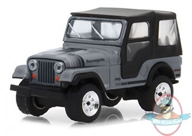 1:64 Anniversary Collection Series 6 1979 Jeep CJ-5 Silver Greenlight