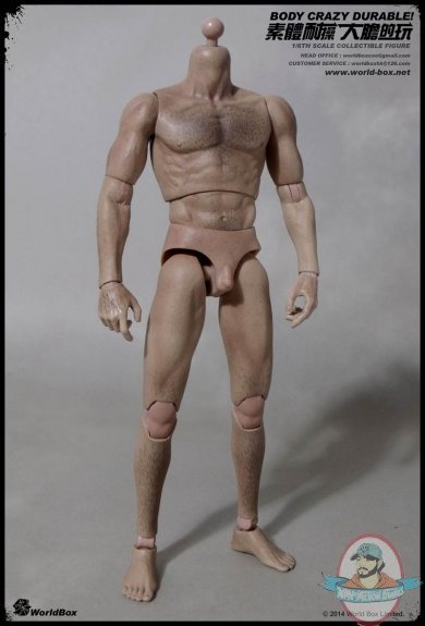1/6 Articulated Male Hair Body WB-AT008  World Box