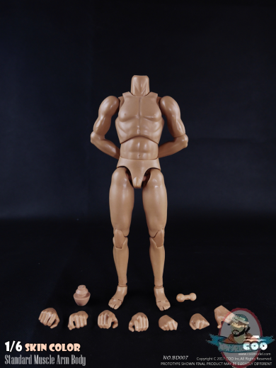 COOMODEL 1/6 Sixth Scale Standard Muscle Arm Body BD007