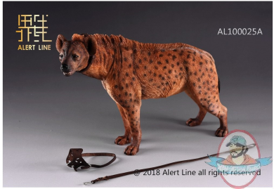1/6 Brown Crocuta Crocuta Spotted Hyena Alert Line AL-100025A
