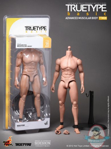 1/6 Scale Truetype Male Body - Advanced Muscular Body by Hot Toys 1/6 Scale Truetype Male Body - Advanced Muscular Body by Hot Toys