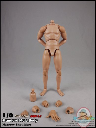 Coo Model 1/6 Scale Figure 2.0 Standard Male Body CM-BD001