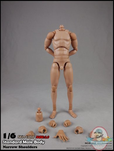Coo Model 1/6 Scale Figure 2.0 Standard Male High Body CM-BD002