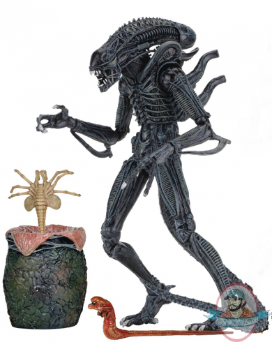 Alien Ultimate Aliens Warrior Blue Alien 7 inch Figure Neca Alien Ultimate Aliens Warrior Blue Alien 7 inch Figure Neca