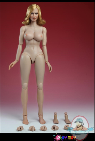 1/6 Caucasian Female Body with Character Head Sculpt PT-HB004 Play Toy
