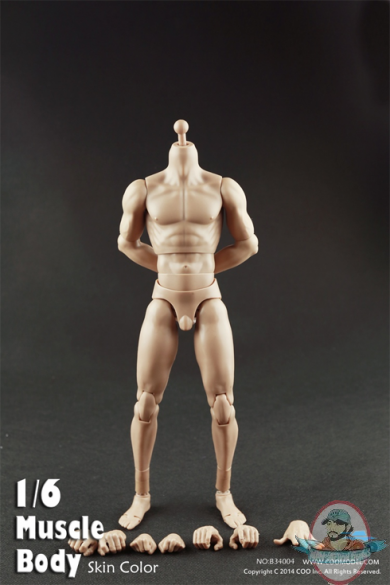 Coo Model 1/6 Scale Muscle Male Body B34004 10.6" Tall Action Figure