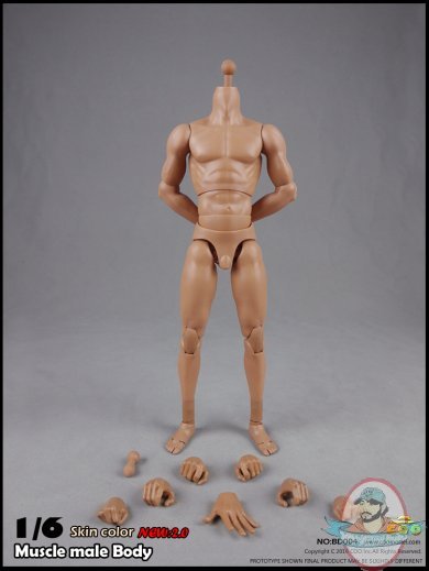 Coo Model 1/6 Scale Figure 2.0 Muscle Male High Body CM-BD004