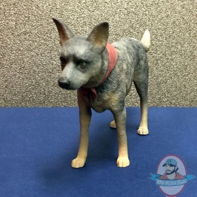 1/6 Sixth Scale Road Fighter 12 inch Dog by Cult King