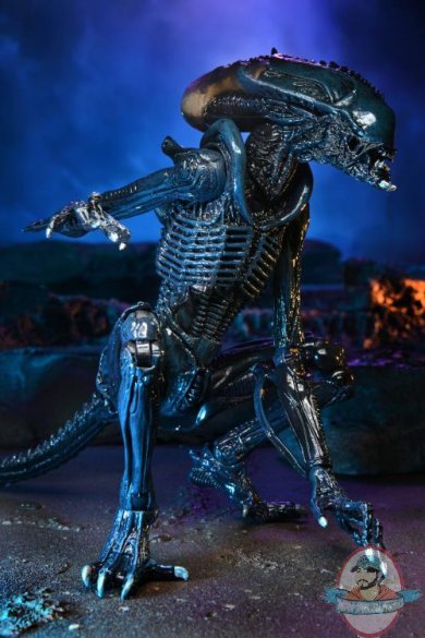Alien vs Predator Movie Deco Alien 7 inch Arachnoid Alien by Neca
