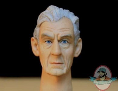  12 Inch 1/6 Scale Head Sculpt Ian Mckellen by HeadPlay