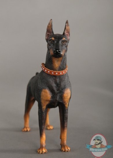 1/6 Scale Animal Series Doberman Pinscher Red Collar by DiD US