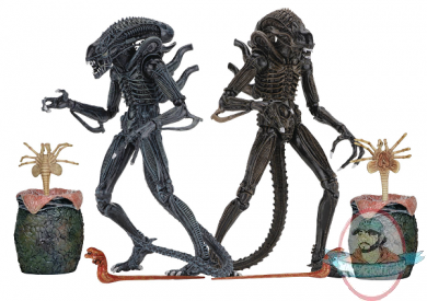 Alien Ultimate Aliens Warrior Set of 2 7 inch Figure Neca Alien Ultimate Aliens Warrior Set of 2 7 inch Figure Neca
