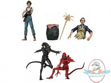 Aliens Series 5 7 inch Figures Case of 14 by Neca Aliens Series 5 7 inch Figures Case of 14 by Neca