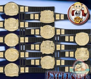WWE Set of 12 Champion Belts for Wrestling Figures WWE Set of 12 Champion Belts for Wrestling Figures