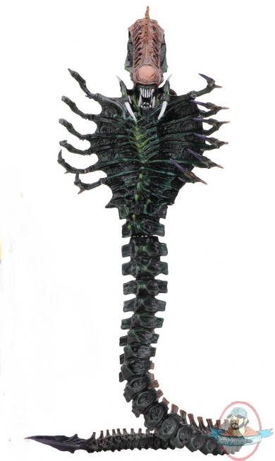 Alien Series 13 Snake Alien Action Figure by Neca Alien Series 13 Snake Alien Action Figure by Neca