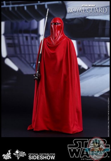 1/6 Scale Star Wars Royal Guard MMS 469 Hot Toys 902996