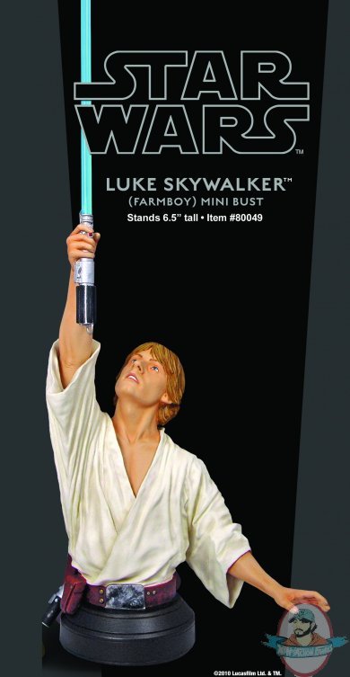 Star Wars Farm Boy Luke Skywalker Mini-Bust Used F Star Wars Farm Boy Luke Skywalker Mini-Bust Used F