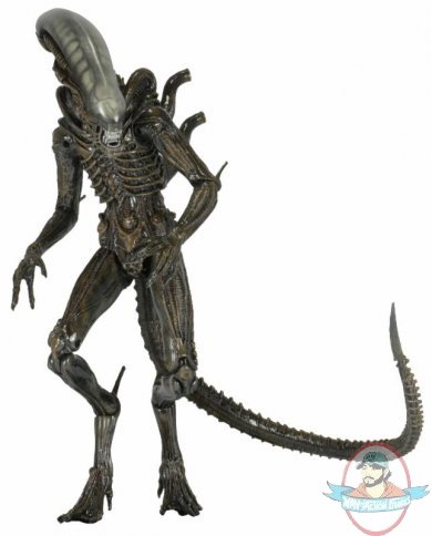 Aliens Series 6 Isolation 7" Figure Xenomorph by Neca Aliens Series 6 Isolation 7" Figure Xenomorph by Neca