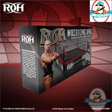 2015_ftc_rohwrestling_ringbox.jpg