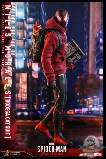 2021_07_07_09_02_53_miles_morales_bodega_cat_suit_sixth_scale_collectible_figure_by_hot_toys_sid.jpg